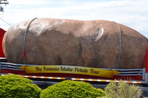 World's largest potato